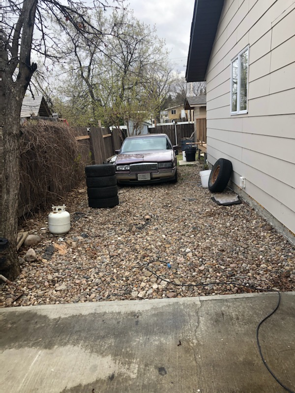 Preview of side yard cleanup