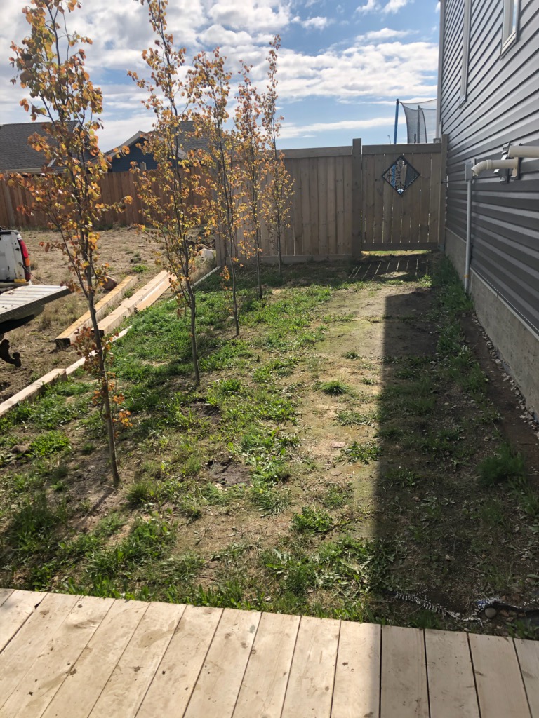 Job preview for sidewalk to back yard
