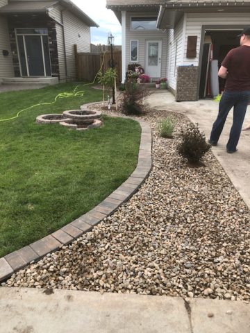 Low Maintenance Front Yard Border